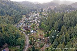 Land, 15290 Armstrong Woods Rd, Russian River, CA  Russian River, CA 95446