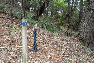 Manufactured Home,  Mcnair road, Cloverdale, CA 95425 - 46