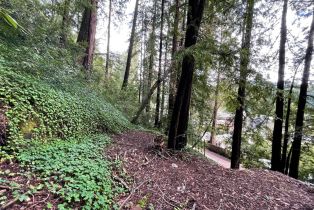 Residential Lot,  Old River road, Russian River, CA 95446 - 14