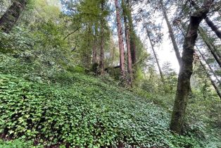 Residential Lot,  Old River road, Russian River, CA 95446 - 3