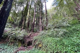 Residential Lot,  Old River road, Russian River, CA 95446 - 9