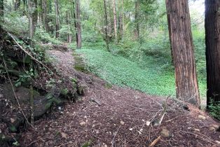 Residential Lot,  Old River road, Russian River, CA 95446 - 4
