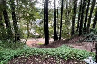 Residential Lot,  Old River road, Russian River, CA 95446 - 8