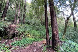 Residential Lot,  Old River road, Russian River, CA 95446 - 12