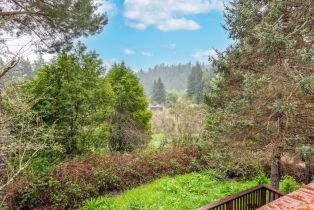 Single Family Residence,  Neeley road, Russian River, CA 95446 - 27