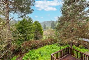 Single Family Residence,  Neeley road, Russian River, CA 95446 - 28