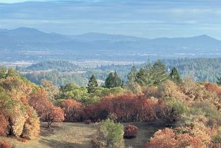Residential Acreage,  Wallace Creek road, Healdsburg, CA 95448 - 3