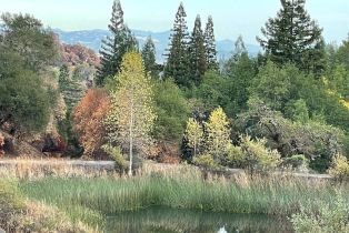 Land, Wallace Creek Rd, Healdsburg, CA  Healdsburg, CA 95448