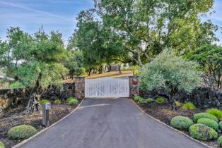 Single Family Residence,  Mountain Home Ranch road, Calistoga, CA 94515 - 5