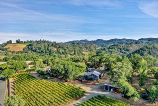 Single Family Residence,  Mountain Home Ranch road, Calistoga, CA 94515 - 47