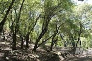 Residential Acreage,  Big Ridge road, Healdsburg, CA 95448 - 9