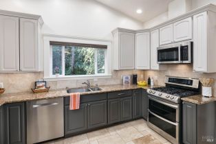 Single Family Residence,  Old Cazadero Road none, Russian River, CA 95446 - 20