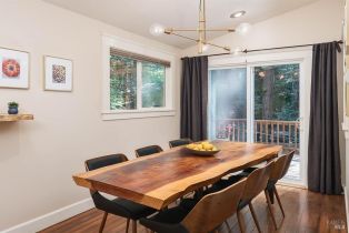 Single Family Residence,  Old Cazadero Road none, Russian River, CA 95446 - 10