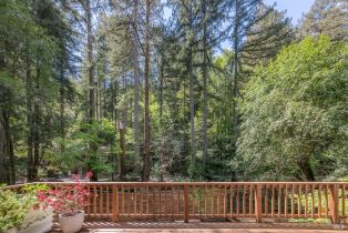 Single Family Residence,  Old Cazadero Road none, Russian River, CA 95446 - 50