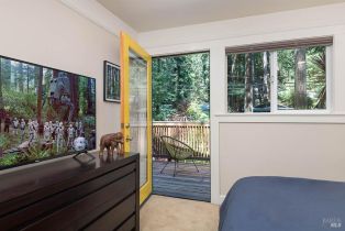 Single Family Residence,  Old Cazadero Road none, Russian River, CA 95446 - 24
