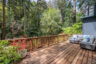 Single Family Residence,  Old Cazadero Road none, Russian River, CA 95446 - 47
