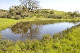 Residential Lot,  Canyon run, Healdsburg, CA 95448 - 14