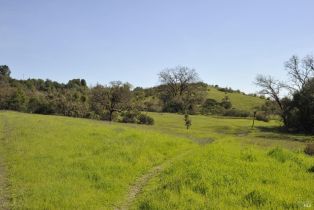 Residential Lot,  Canyon run, Healdsburg, CA 95448 - 19