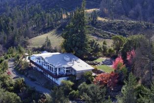 Single Family Residence,  Diamond Mountain road, Calistoga, CA 94515 - 3