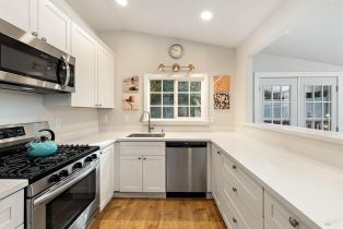 Single Family Residence,  Old Cazadero road, Russian River, CA 95446 - 8