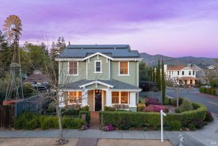 Single Family Residence,  Yount street, Yountville, CA 94599 - 56