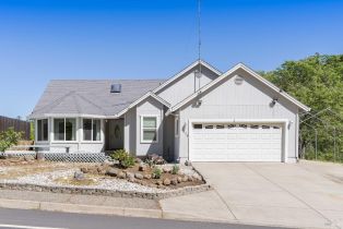 Single Family Residence, 1239 Steele Canyon Rd, Napa, CA  Napa, CA 94558
