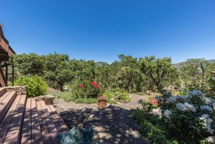 Single Family Residence,  1st avenue, Napa, CA 94558 - 60