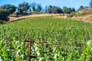 Single Family Residence,  Alpine road, Santa Rosa, CA 95404 - 6