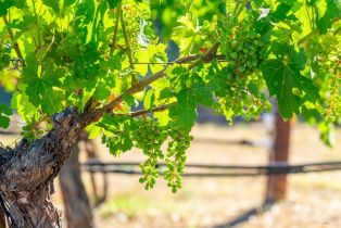 Single Family Residence,  Alpine road, Santa Rosa, CA 95404 - 5