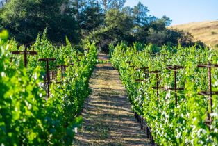 Single Family Residence,  Alpine road, Santa Rosa, CA 95404 - 2