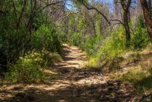 Single Family Residence,  Alpine road, Santa Rosa, CA 95404 - 20