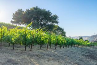 Single Family Residence,  Alpine road, Santa Rosa, CA 95404 - 9