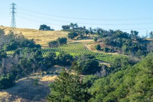 Single Family Residence,  Alpine road, Santa Rosa, CA 95404 - 15