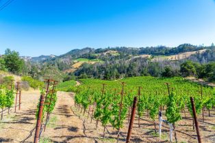 Single Family Residence,  Alpine road, Santa Rosa, CA 95404 - 7