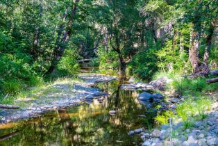 Single Family Residence,  Alpine road, Santa Rosa, CA 95404 - 26