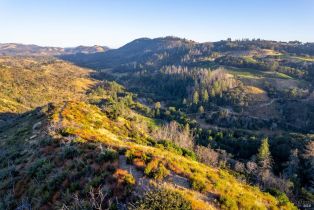 Single Family Residence,  Alpine road, Santa Rosa, CA 95404 - 19