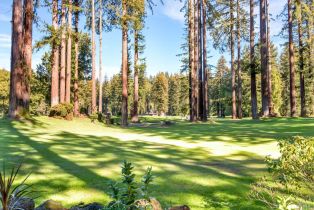 Single Family Residence,  Golf court, Russian River, CA 95462 - 49