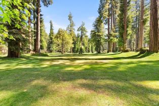 Single Family Residence,  Golf court, Russian River, CA 95462 - 46