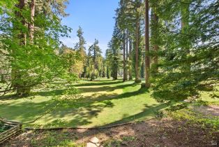 Single Family Residence,  Golf court, Russian River, CA 95462 - 40