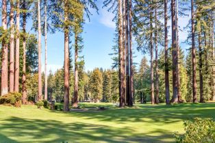Single Family Residence,  Golf court, Russian River, CA 95462 - 51