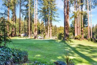 Single Family Residence,  Golf court, Russian River, CA 95462 - 50
