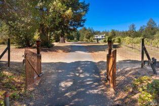 Single Family Residence,  Dry Creek road, Healdsburg, CA 95448 - 34