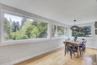 Single Family Residence,  River drive, Russian River, CA 95436 - 9