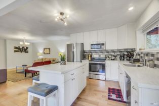 Single Family Residence,  River drive, Russian River, CA 95436 - 27