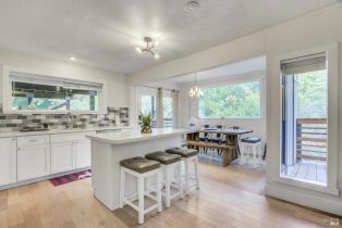 Single Family Residence,  River drive, Russian River, CA 95436 - 24