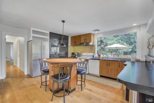 Single Family Residence,  River drive, Russian River, CA 95436 - 10