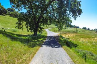 Agriculture,  Quail Ridge road, Napa, CA 94558 - 17