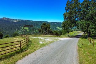 Agriculture,  Quail Ridge road, Napa, CA 94558 - 21