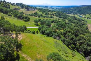 Agriculture,  Quail Ridge road, Napa, CA 94558 - 11