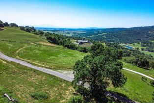 Agriculture,  Quail Ridge road, Napa, CA 94558 - 19